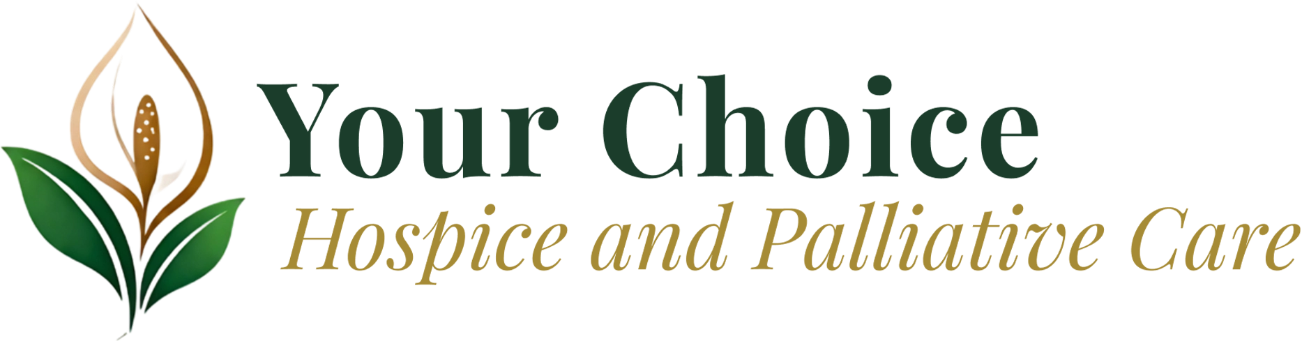 Your Choice Hospice and Palliative Care